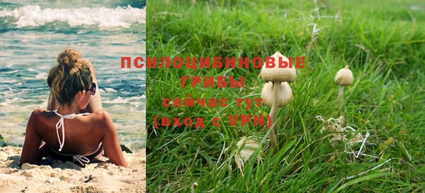 PSILOCYBIN Алексин